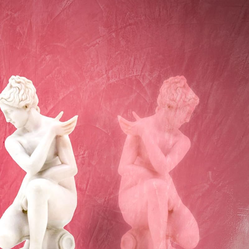 Violante Grassello Lime Plaster - Hình 5