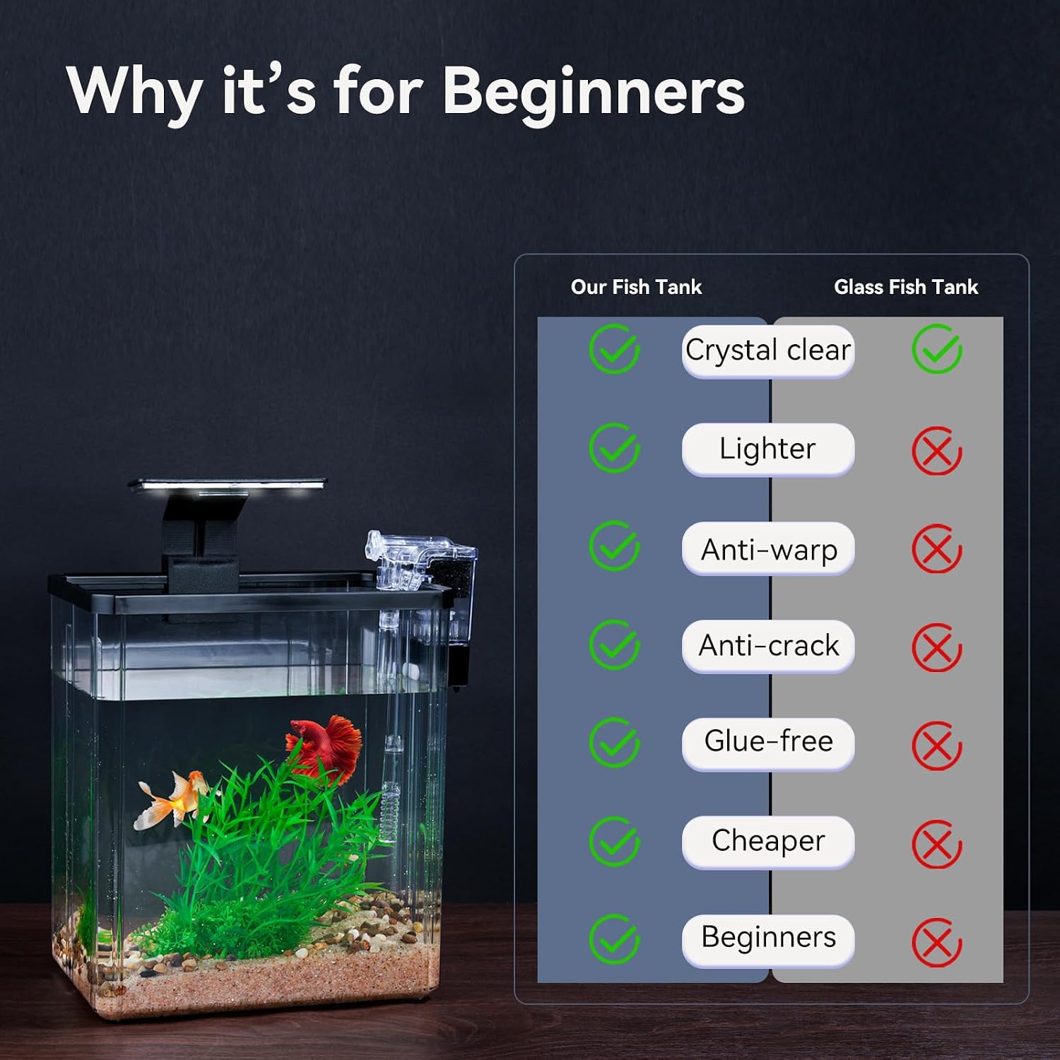 1.5 Gallon Desktop Mini Aquarium Kit - Hình 4