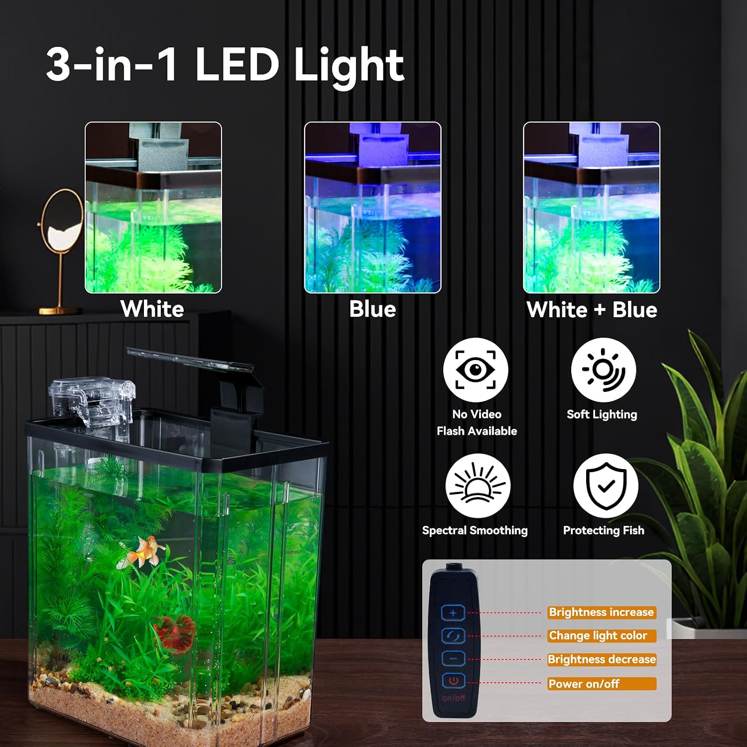 1.5 Gallon Desktop Mini Aquarium Kit - Hình 6