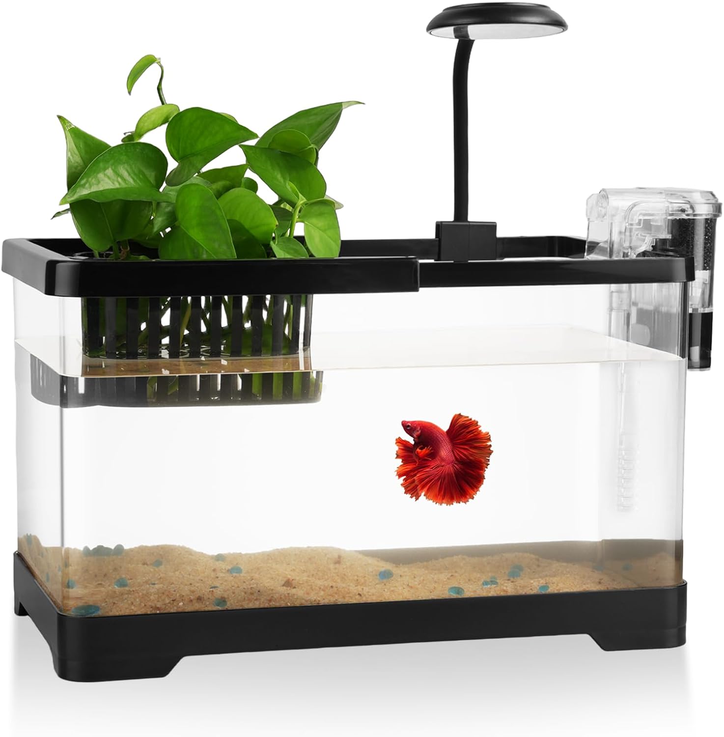1.5 Gallon Desktop Mini Aquarium Kit - Hình 10