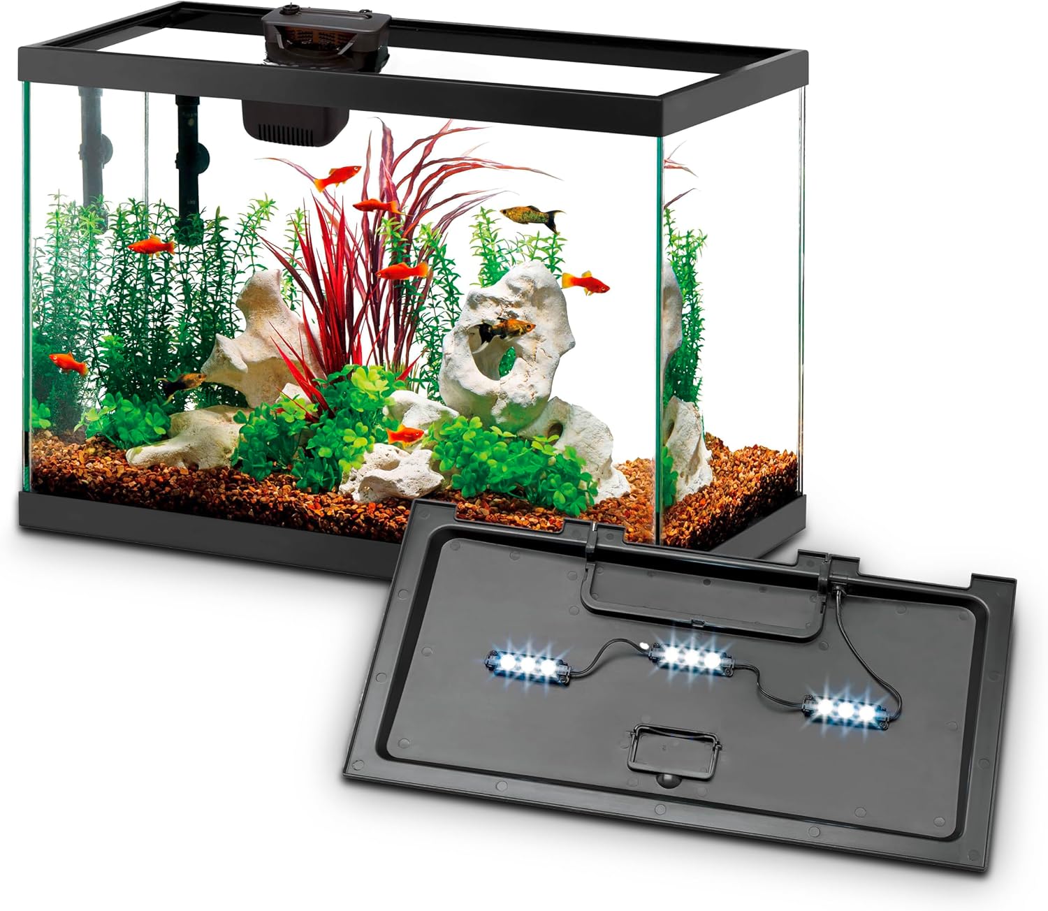 Aqueon 10 Gallon Aquarium Starter Kit