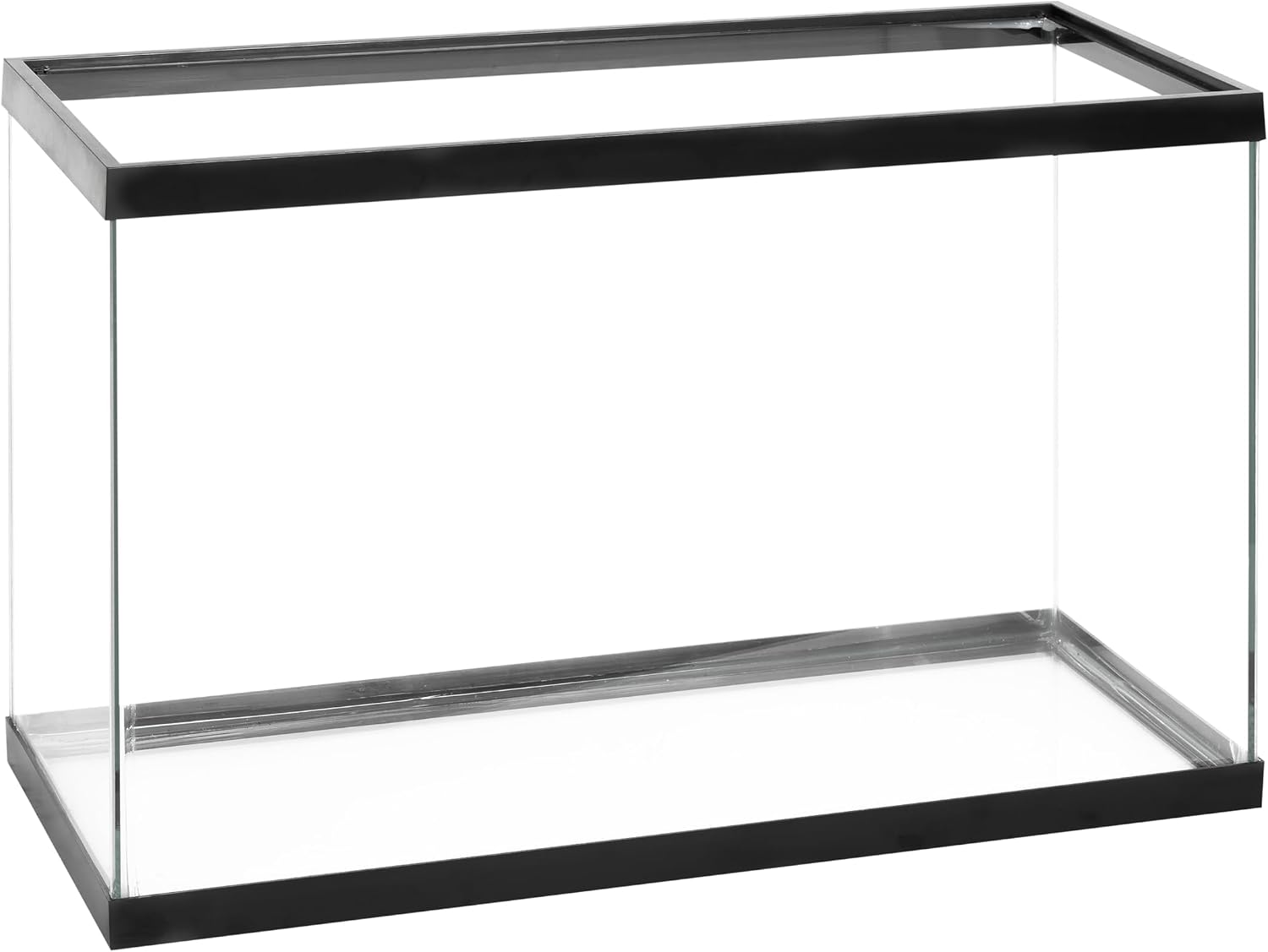 Clear Glass 20 Gallon Long Aquarium Tank - Hình 5