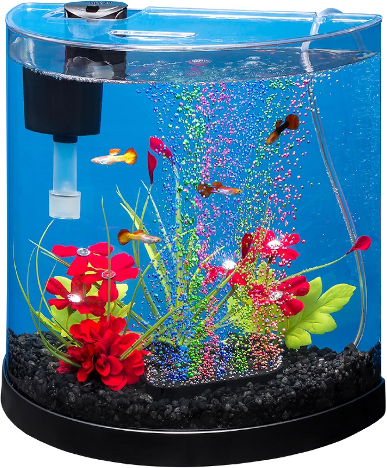 Tetra LED Cube Kit 3 Gallon Aquarium - Hình 11