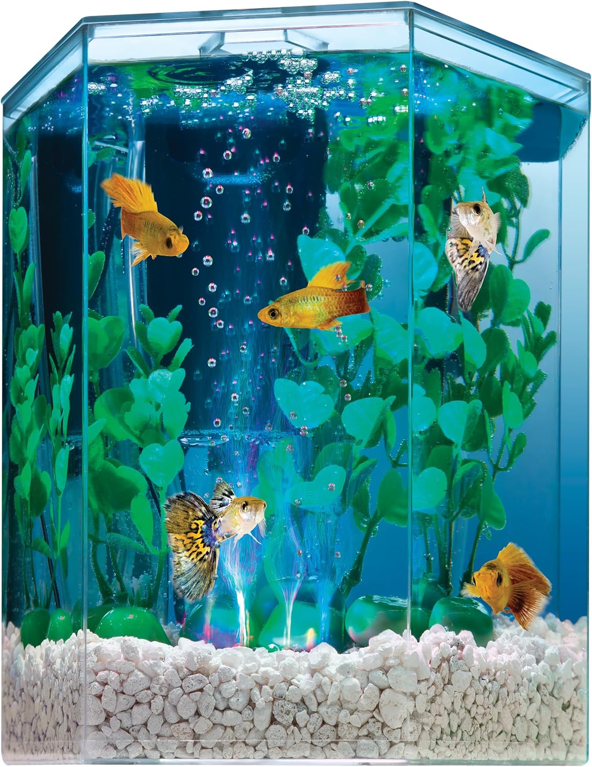 Tetra LED Cube Kit 3 Gallon Aquarium - Hình 12