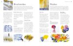 Comprehensive Painting & Drawing Guide for Beginners - image 3