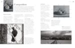 Comprehensive Painting & Drawing Guide for Beginners - image 5
