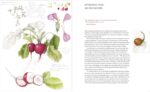 Joy of Botanical Drawing Guide - image 2