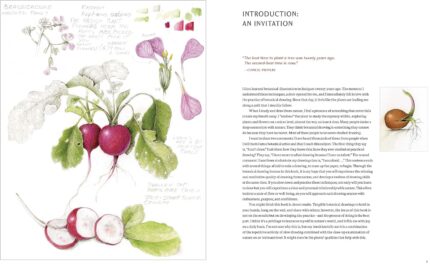 Joy of Botanical Drawing Guide - image 2