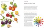 Joy of Botanical Drawing Guide - image 4