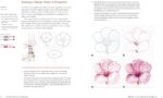 Joy of Botanical Drawing Guide - image 7