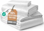 Queen White Sateen Egyptian Cotton Sheet Set