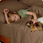 Cooling Bamboo Viscose Sheet Set