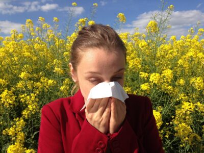 Air Purifiers and Allergies: What They Really Help