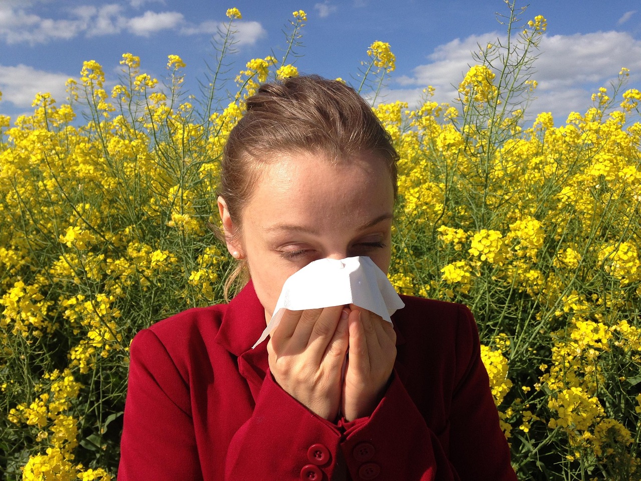 Air Purifiers and Allergies: What They Really Help