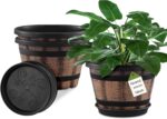 Whiskey Barrel Planters
