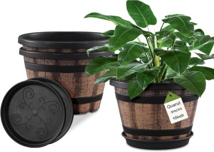 Whiskey Barrel Planters
