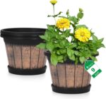 Whiskey Barrel Planters
