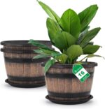 Whiskey Barrel Planters
