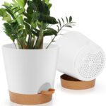 Black Self-Watering Planters