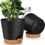 Black Self-Watering Planters