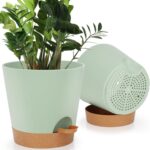 Black Self-Watering Planters