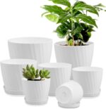 Black Self-Watering Planters