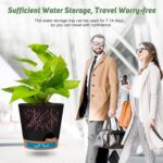 Black Self-Watering Planters