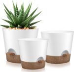 Black Self-Watering Planters