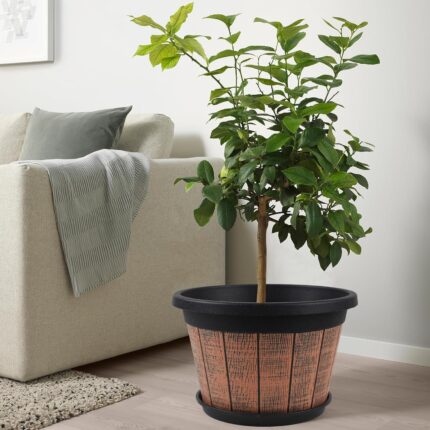 Large Wood Grain Plastic Planters