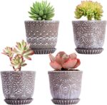 Bohemian Ceramic Planters