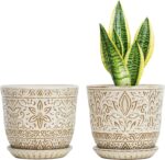 Bohemian Ceramic Planters
