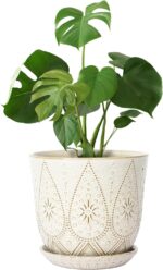 Bohemian Ceramic Planters