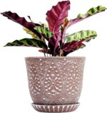 Bohemian Ceramic Planters