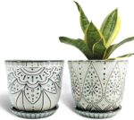 Bohemian Ceramic Planters