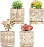 Bohemian Ceramic Planters