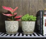 Bohemian Ceramic Planters