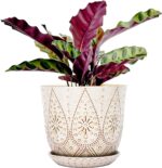 Bohemian Ceramic Planters