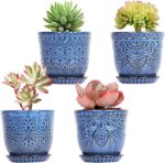 Bohemian Ceramic Planters