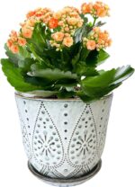 Bohemian Ceramic Planters