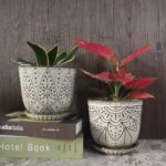 Bohemian Ceramic Planters