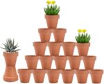 Mini Terracotta Pots