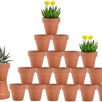 Mini Terracotta Pots