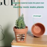 Mini Terracotta Pots