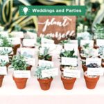 Mini Terracotta Pots