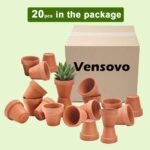 Mini Terracotta Pots