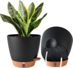 Self-Watering Indoor Planters