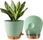 Self-Watering Indoor Planters