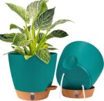 Self-Watering Indoor Planters
