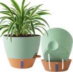 Self-Watering Indoor Planters