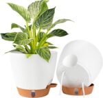 Self-Watering Indoor Planters